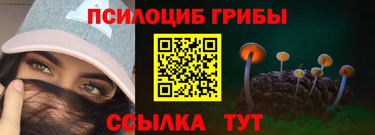Ревда  Галлюциногенные грибы Magic Shrooms  Вход с VPN 